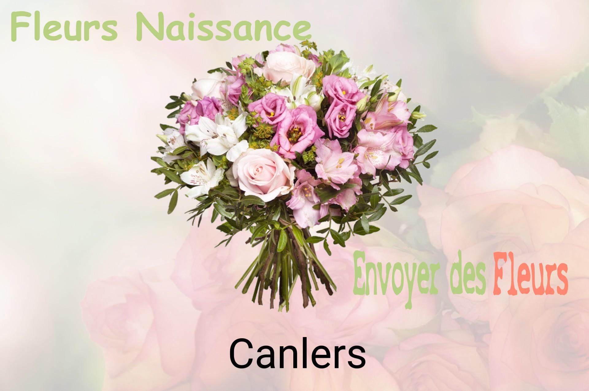Bouquet de fleurs de naissance livré à Canlers