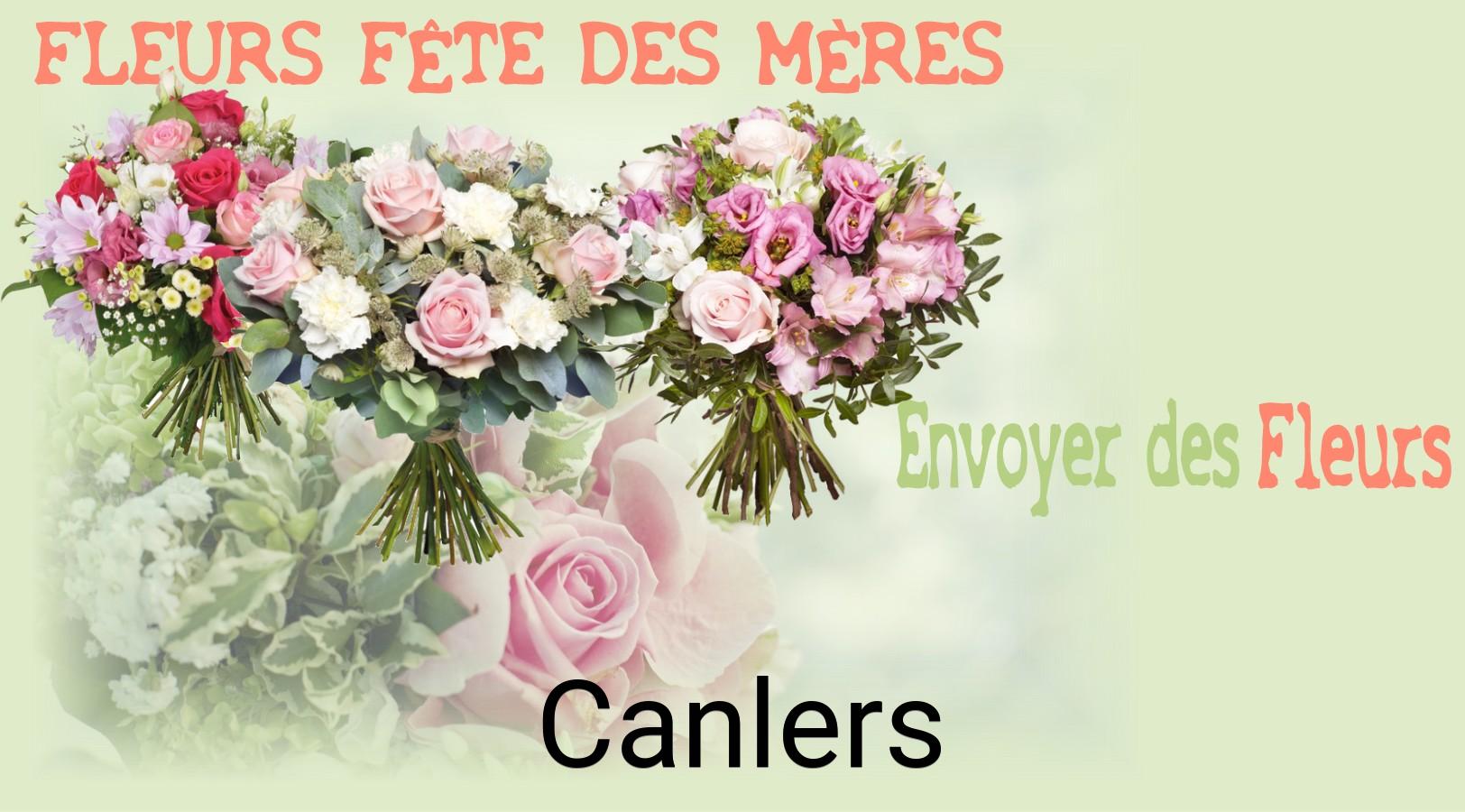 Bouquet de Fête des Mères livré à Canlers